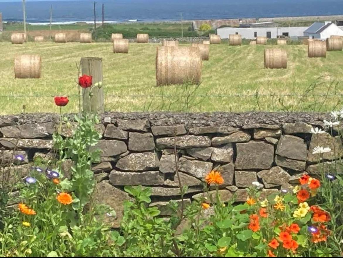 Wild Atlantic View Panzió Sligo Kültér fotó